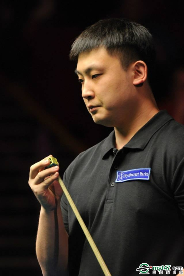 诺维茨基的 诺维茨基的