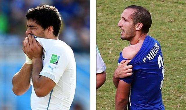 会有回报 会有回报