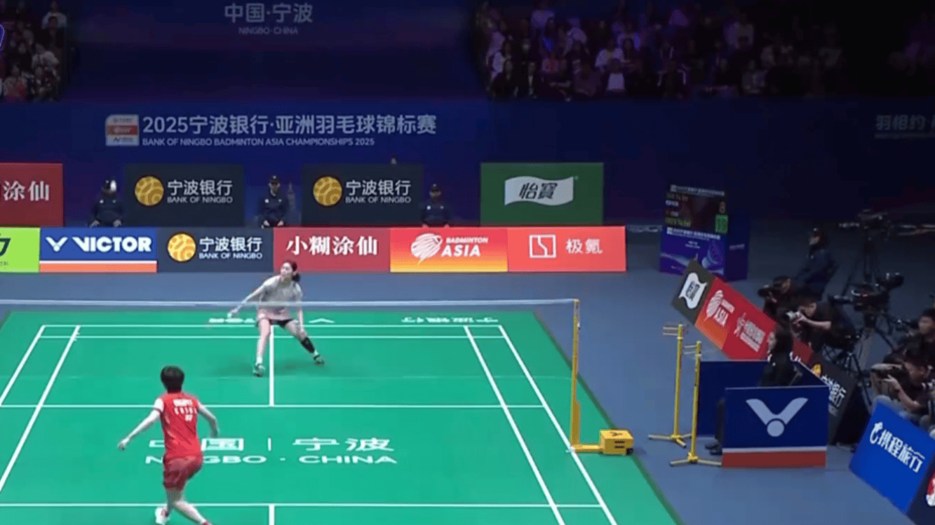 不排除有意 不排除有意