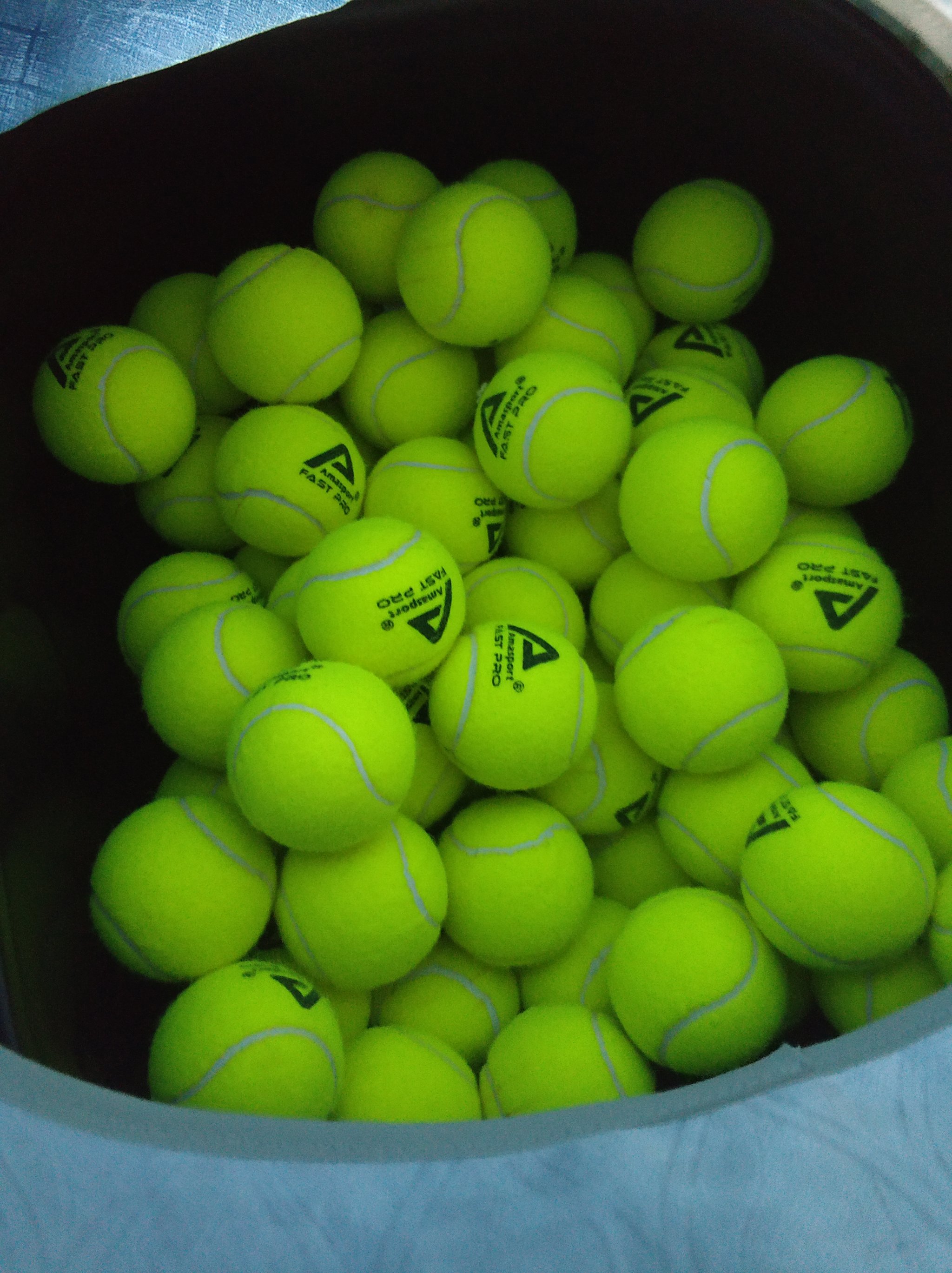 响与展望 响与展望